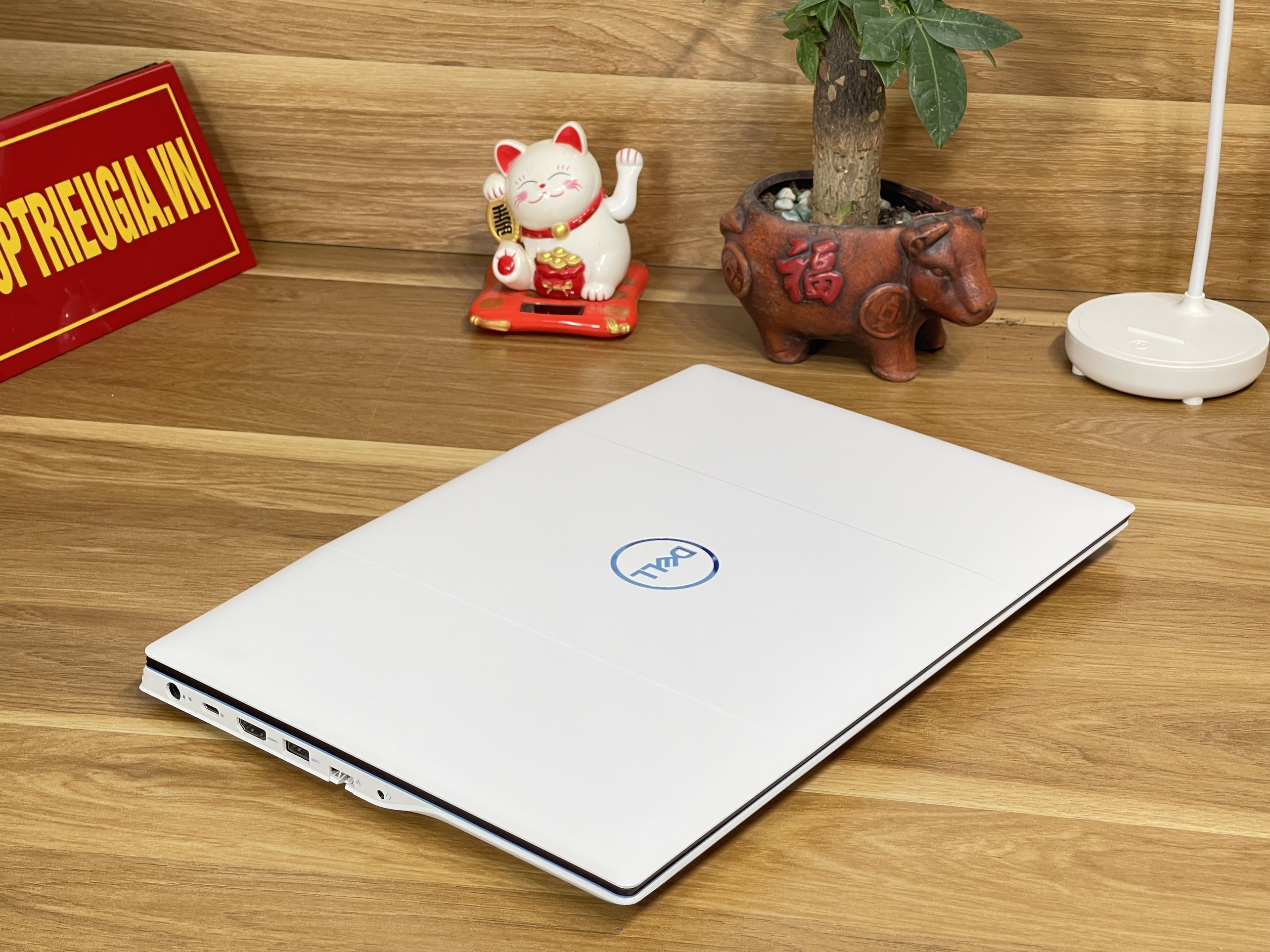 Dell Gaming G3 3590: i7-9750H | Ram 16Gb |  SSD512G | Ndivia GTX1650 | 15.6FHD IPS - đẹp Like new, zin